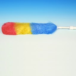 Zeige Details für Ebnat Staubwedel Bild von Ebnat Staubwedel