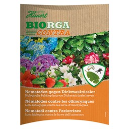 Zeige Details für Hauert Biorga Contra Nematoden gegen Dickmaulrüssler Bild von Hauert Biorga Contra Nematoden gegen Dickmaulrüssler