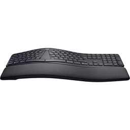 Zeige Details für Logitech Tastatur Ergo K860 Bild von Logitech Tastatur Ergo K860
