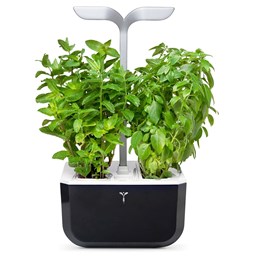 Zeige Details für Véritable Indoor-Garten Exky SMART - soft black Bild von Véritable Indoor-Garten Exky SMART - soft black