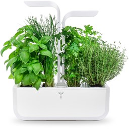 Zeige Produkte für Kategorie Smart Garden Bild für Kategorie Smart Garden