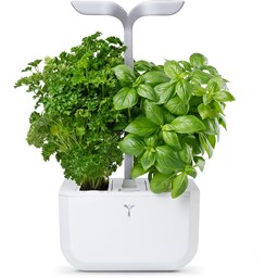 Zeige Details für Véritable Indoor-Garten Exky SMART - arctic white Bild von Véritable Indoor-Garten Exky SMART - arctic white