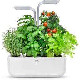 Zeige Details für Véritable Indoor-Garten SMART - arctic white Bild von Véritable Indoor-Garten SMART - arctic white