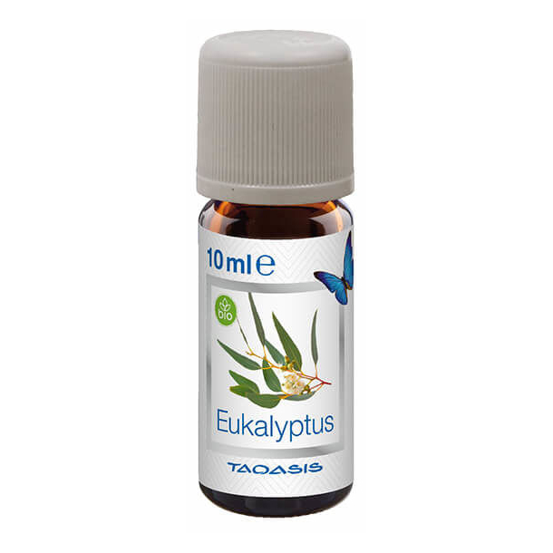 Bild von Venta Bio-Duftöl Eukalyptus 10 ml