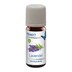 Bild von Venta Bio-Duftöl Lavendel 10 ml