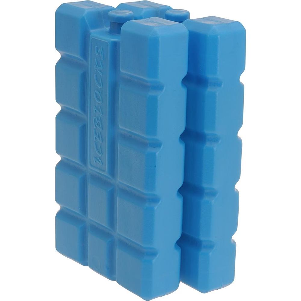 Bild von CHAMP Kühlelement 2er Set 200g