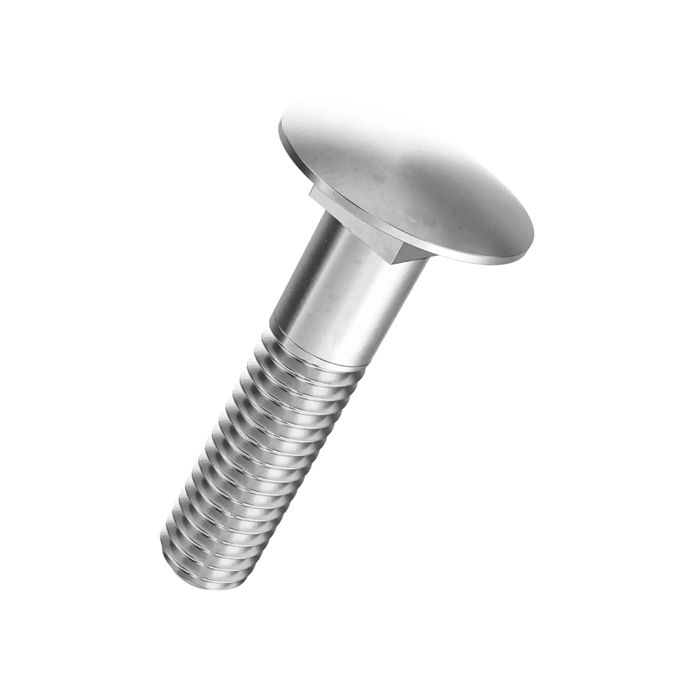 Bild von bestaPAC Flachrundschraube Inox M8x80