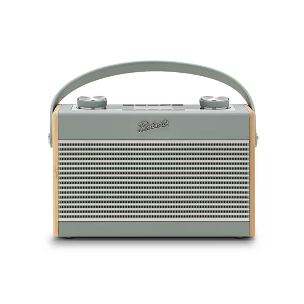 Bild von Roberts Rambler Max DAB+ Radio - duck egg