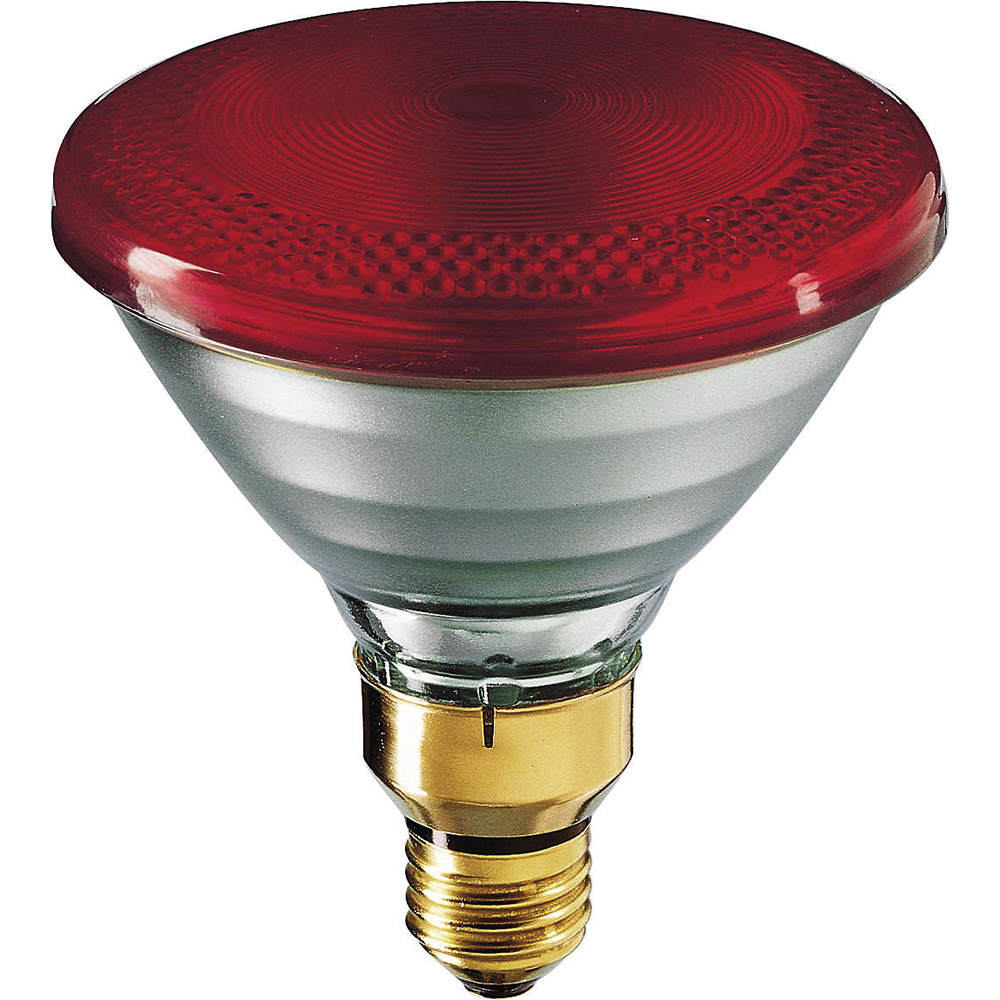 Bild von Philips Infrarotlampe PAR38 150W/E27